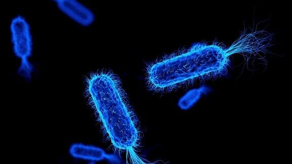 大肠杆菌蓝色医学背景
