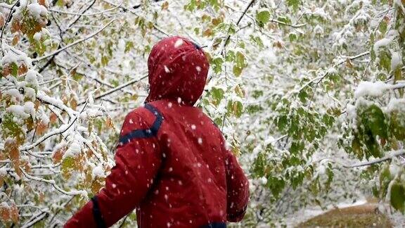 孩子们喜欢公园里从树上飘落的雪