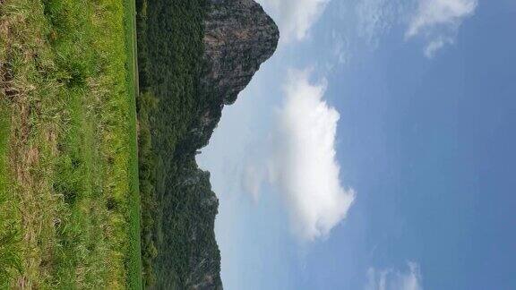 乡村风景垂直概念