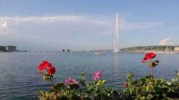 瑞士日内瓦湖和喷泉之旅