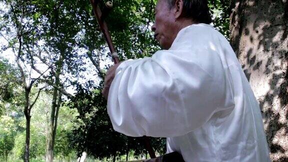 老人在公园里演奏中国传统的二胡
