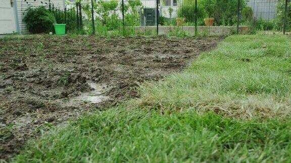 镜头从后院的泥泞区移动到住宅区后院的新铺草皮区