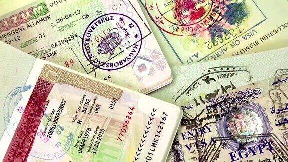 持签证的国际护照