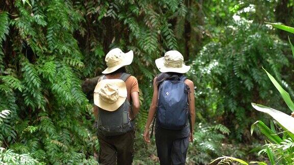 两个亚洲女游客去热带森林探险