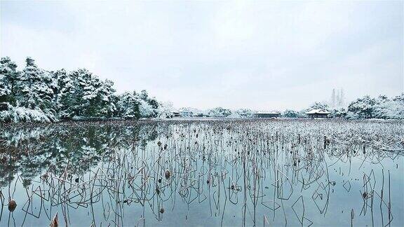 冬季杭州的风景