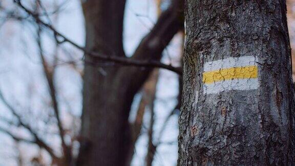 小径标志在山上的一棵树上