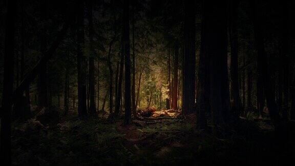 穿越黑暗森林的故事书场景