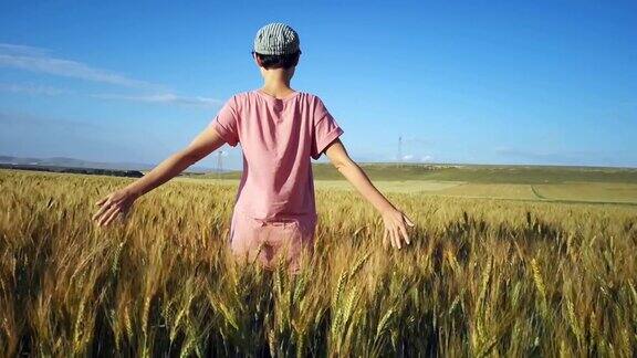 一位年轻女子在金色的阳光下抚摸着田野上的谷物