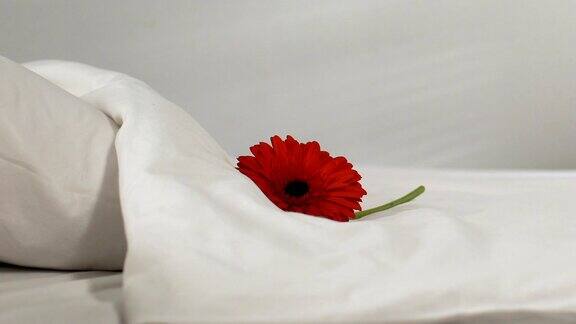 女服务员把花放在酒店房间的新床单上清洁