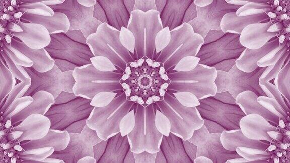 紫色花曼荼罗背景与复制空间