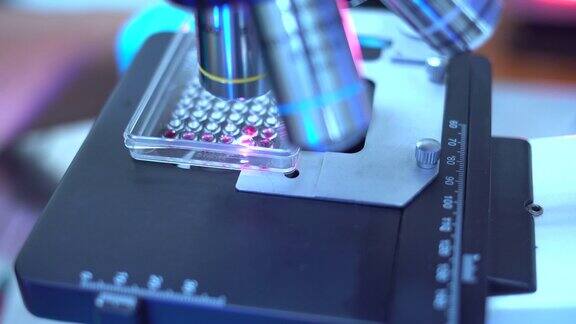 科学家在显微镜下分析血液样本