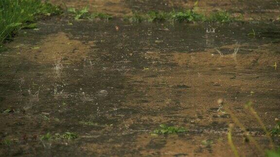 雨滴来自雨