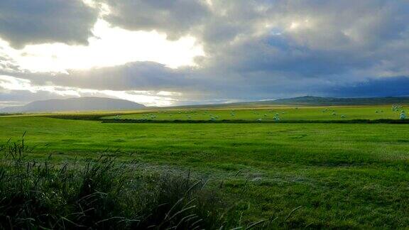 冰岛的农业放牧地