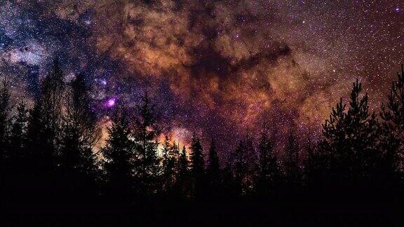 银河和流星背后的森林剪影