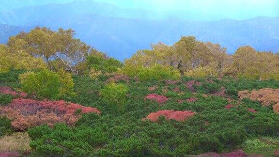 日本的自然场景