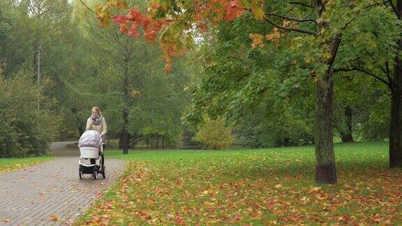 一个女人推着婴儿车在秋天的公园里散步