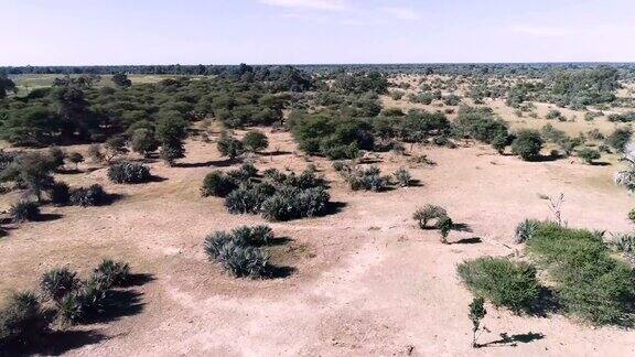 美丽的非洲大草原无人机的观点