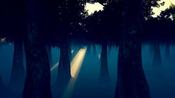 镜头穿越迷雾笼罩的幽暗森林朝着明亮的太阳飞行4k