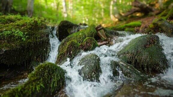 小溪在夏季的绿色森林中奔流小瀑布和清澈的水长满苔藓的石头和木头万向节慢动作拍摄
