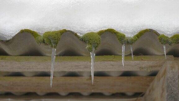近距离观察爱沙尼亚屋顶上融化的冰