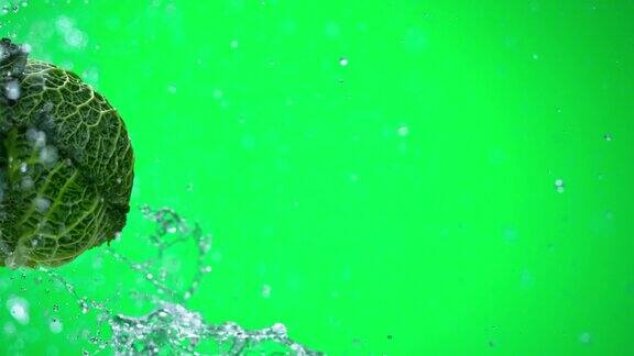 SLOMO羽衣甘蓝被水溅在绿色的背景