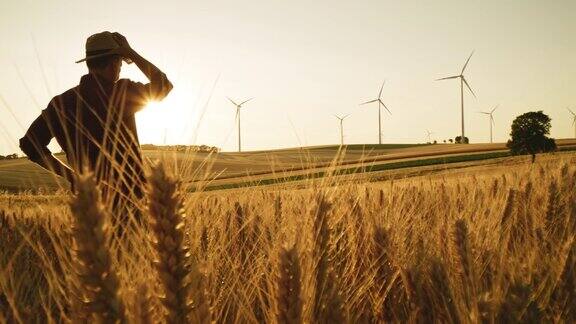 一个农民在麦田里散步周围都是风力涡轮机