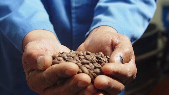工人们拿着整颗咖啡豆的手