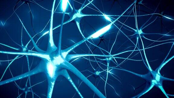 神经元在大脑神经网络的三维动画