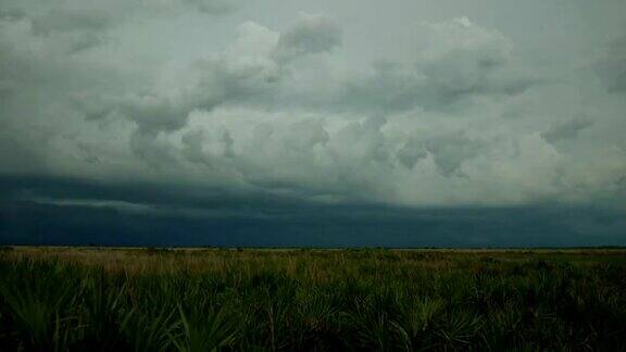 黑暗雷雨席卷佛罗里达草原4K