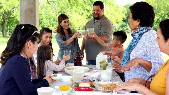 西班牙大家庭在一个阳光明媚的夏天在公园野餐午餐