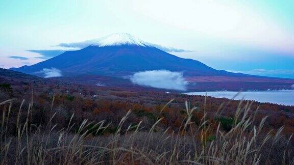 美丽的富士山与枫树在秋天的日本