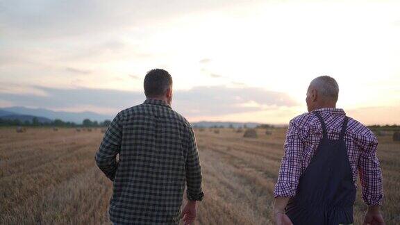 一位农民和一位农学家在日落时分穿过一片麦田