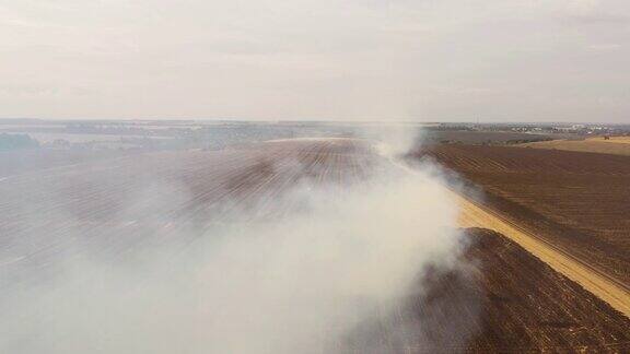 从无人机拍摄的收获景象后玉米地发生4k火灾