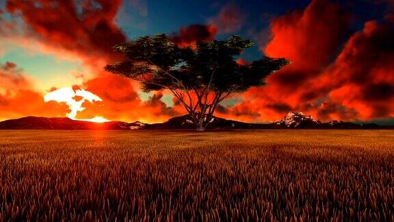 非洲日出时间流逝金合子树在前景