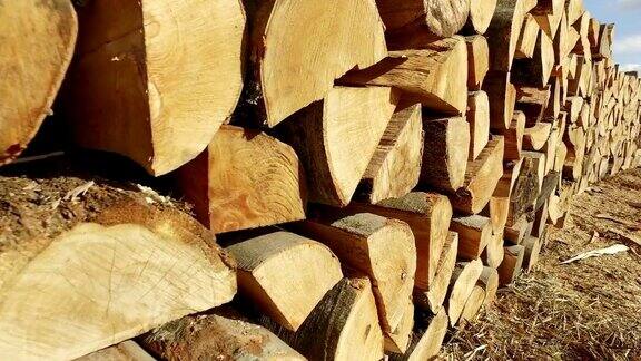原木树干被砍倒堆放起来