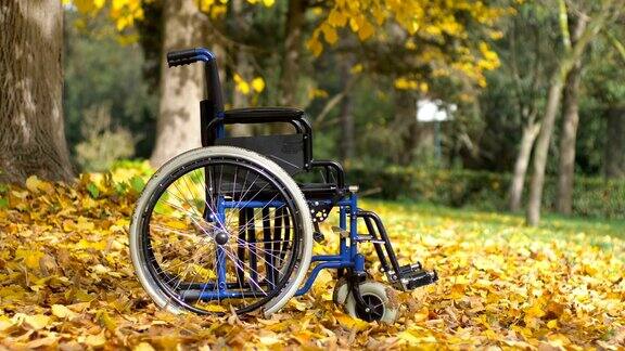 公园里被遗弃的空轮椅:被遗弃忧郁悲伤