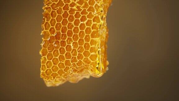 甜蜜的蜂蜜从蜂巢中流出采集从蜂房滴下的新鲜蜂蜜健康环保的天然糖食品