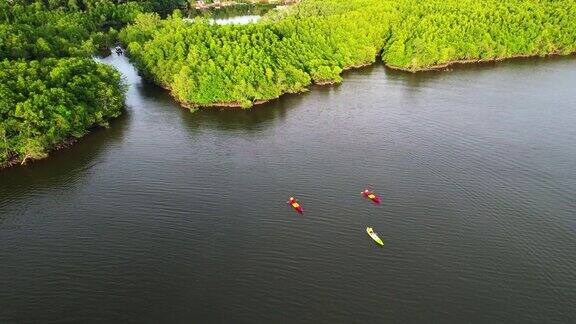 日落场景鸟瞰图的旅行团或研究人员划桨动作划桨的小船皮划艇在淡水河湖发现和探索大自然的植物园热带攀牙省泰国