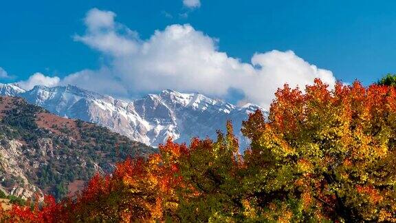 秋天的森林和山上的彩色树木的时间流逝