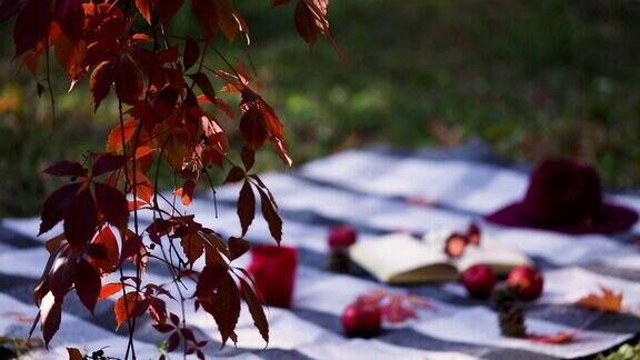 秋天的花园石凳上放着毯子、枕头、一篮子苹果和一顶酒红色的帽子和一双胶靴