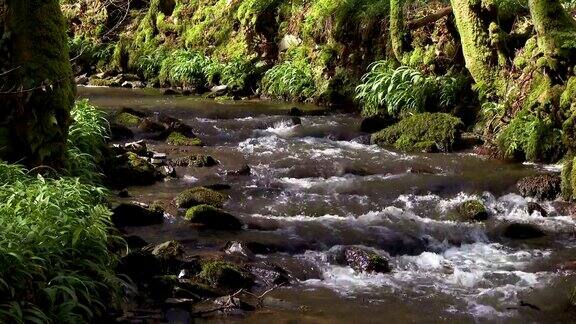一条小溪流过苏格兰乡村
