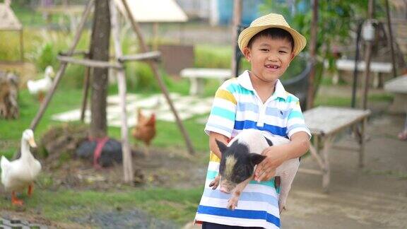 亚洲饲料和农场动物幼猪