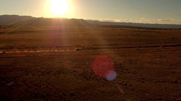 航拍:金色日出时一辆黑色SUV行驶在沙漠山谷尘土飞扬的道路上