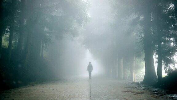 一个人走在雾蒙蒙的路上