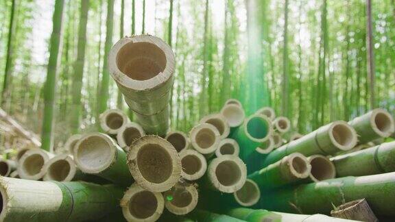 近距离镜头切割有机竹竿准备加工成可持续的绿色产品背景是竹林耀斑