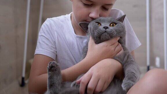 微笑男孩坐在地板上拥抱灰色的英国猫玩耍热爱宠物动物
