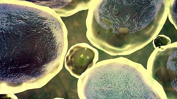活细胞