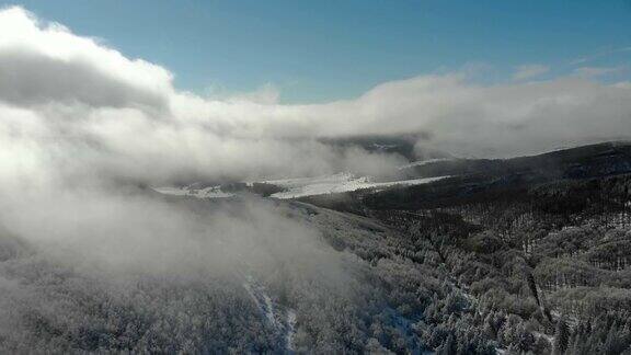 在白雪覆盖的薄雾山林上空飞翔