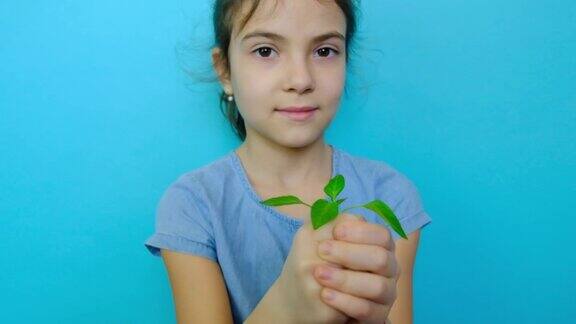 孩子在地里种了一株植物有选择性的重点