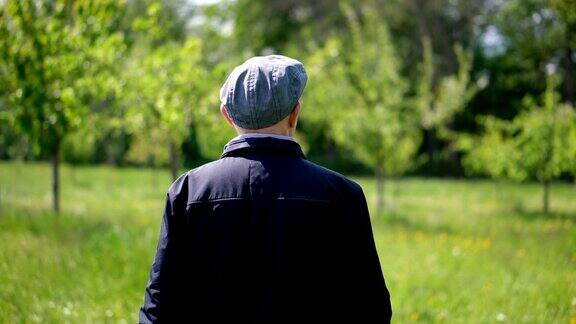 一位欧洲农民在他的农田里种植苹果树